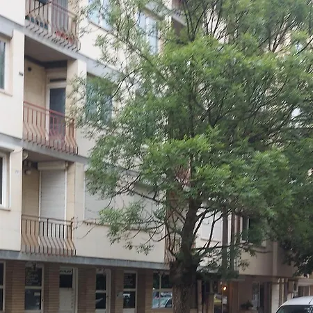 Budget & Guest house *